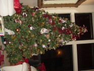 Click to Enter 'Xmas03cloes 005' Page